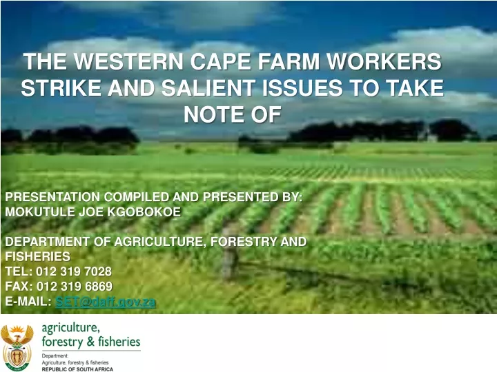the western cape farm workers strike and salient