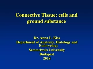 Connective Tissue :  cells  and  ground substance