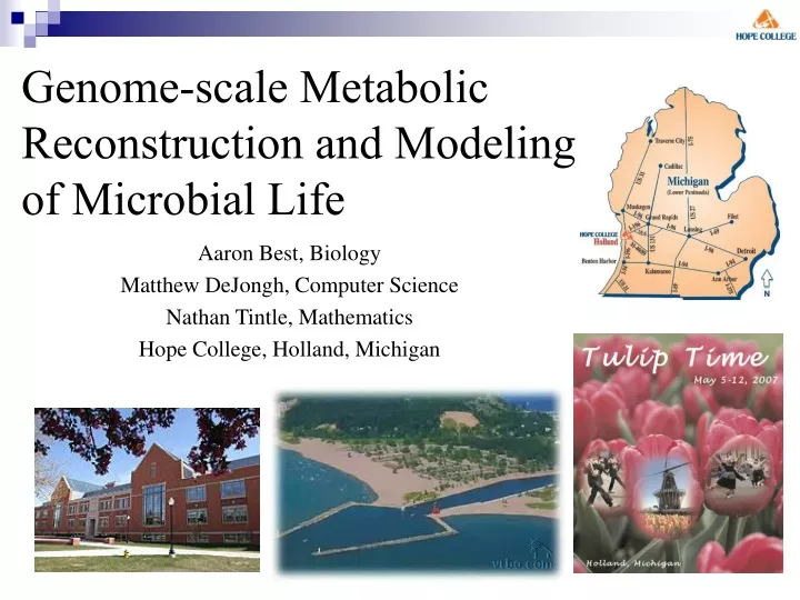 genome scale metabolic reconstruction