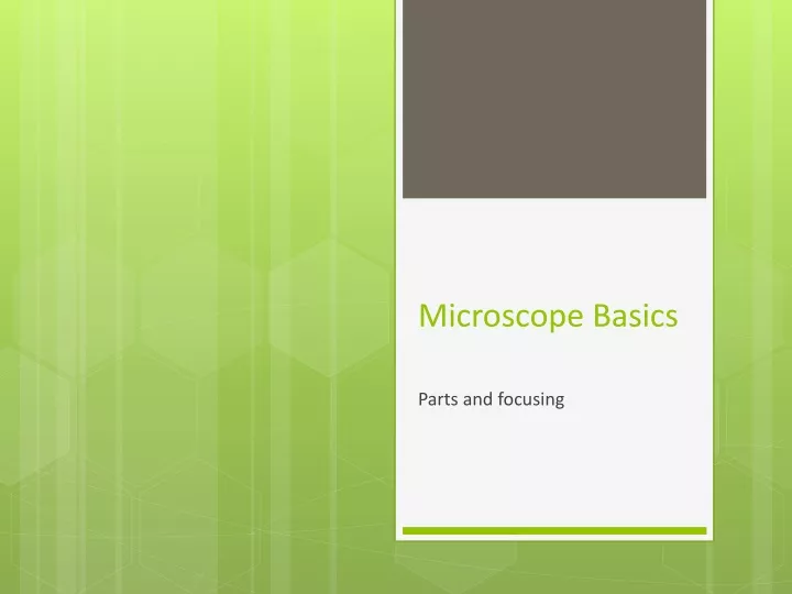 microscope basics