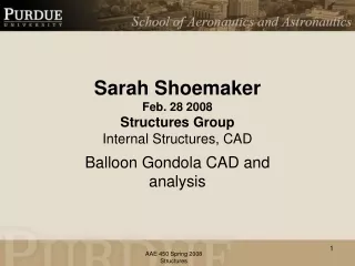 Sarah Shoemaker Feb. 28 2008 Structures Group Internal Structures, CAD
