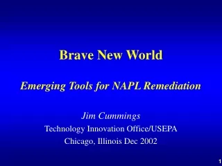Brave New World Emerging Tools for NAPL Remediation