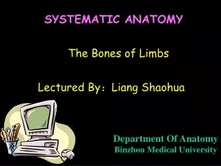 SYSTEMATIC ANATOMY The Bones of Limbs Lectured By?Liang Shaohua