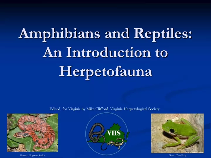 amphibians and reptiles an introduction to herpetofauna