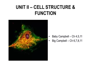 UNIT II – CELL STRUCTURE &amp; FUNCTION