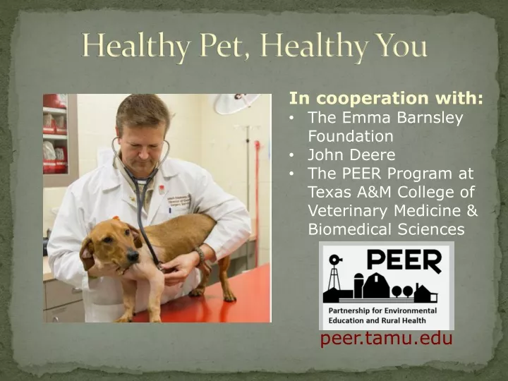 healthy pet healthy you