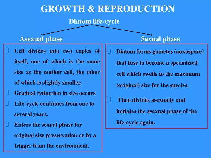 growth reproduction