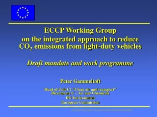 ECCP Working Group on the integrated approach to reduce CO 2  emissions from light-duty vehicles