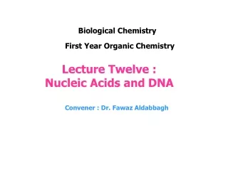 Lecture Twelve :  Nucleic Acids and DNA