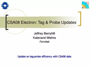CSA08 Electron: Tag &amp; Probe Updates