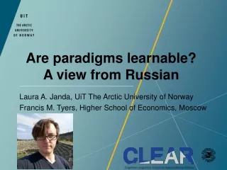 Are paradigms learnable? A view from Russian