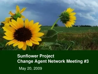 Sunflower Project Change Agent Network Meeting #3