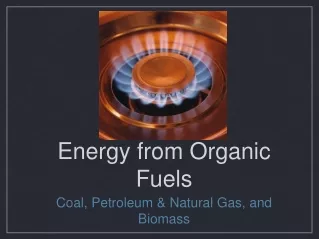 Energy from Organic Fuels