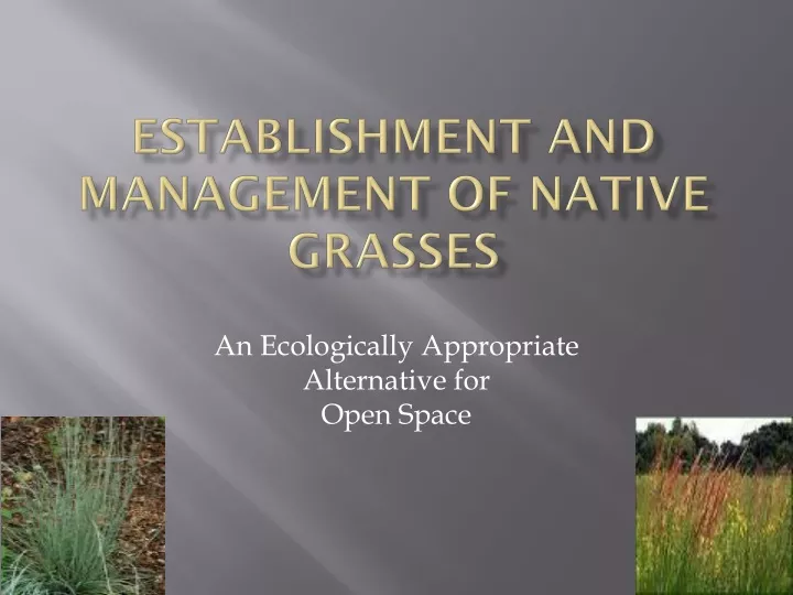 establishment and management of native grasses