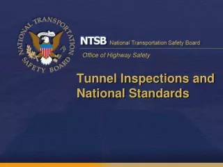Tunnel Inspections and National Standards
