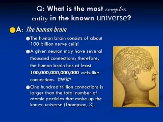 Q : What is the most  complex entity  in the known  universe ?