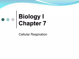Biology I Chapter 7