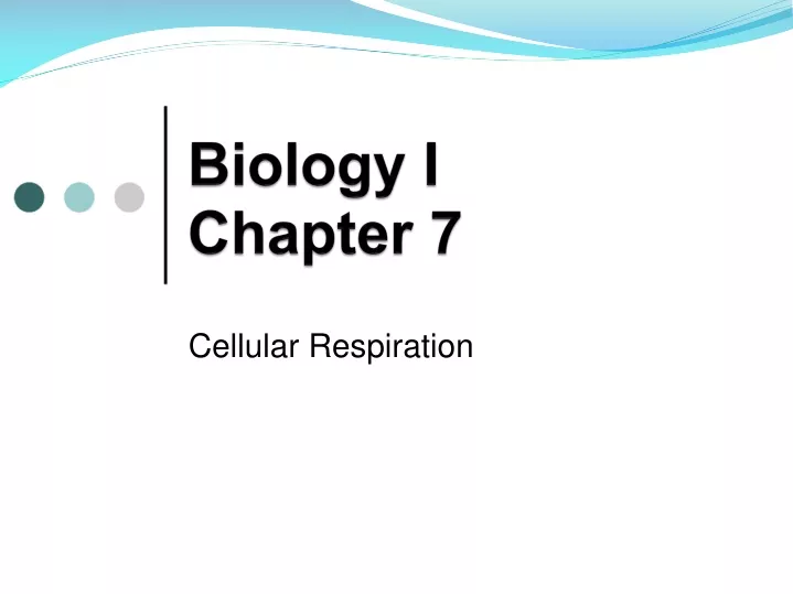 biology i chapter 7