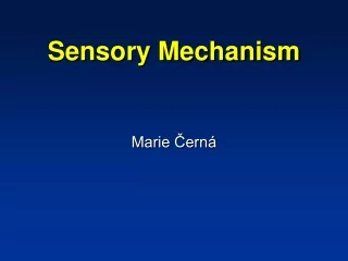 Sensory Mechanism