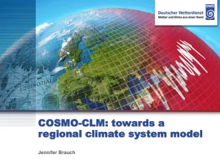 COSMO-CLM:  towards a regional climate system model