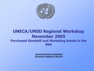 UNECA/UNSD Regional Workshop November 2005 Purchased Goodwill and Marketing Assets in the SNA