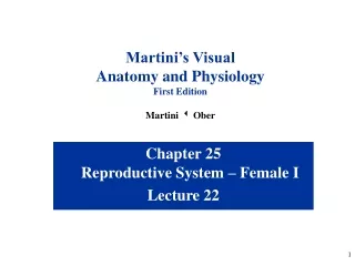 Chapter 25 Reproductive System – Female I Lecture 22