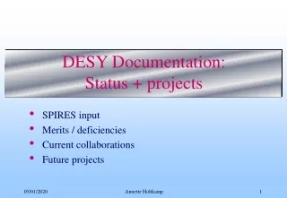 DESY Documentation: Status + projects