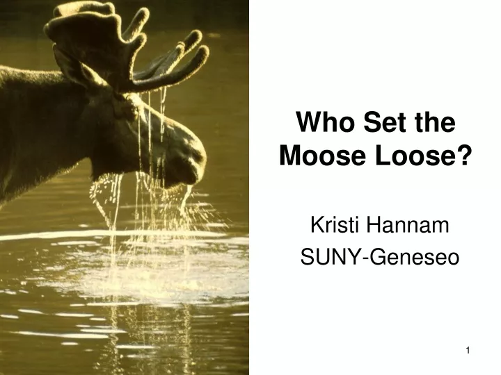 who set the moose loose