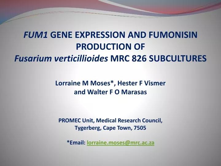 fum1 gene expression and fumonisin production