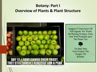 Botany: Part I Overview of Plants &amp; Plant Structure
