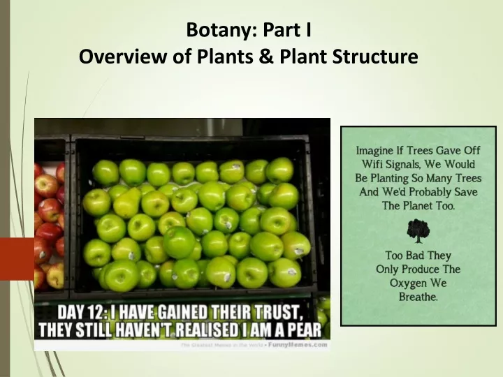 botany part i overview of plants plant structure
