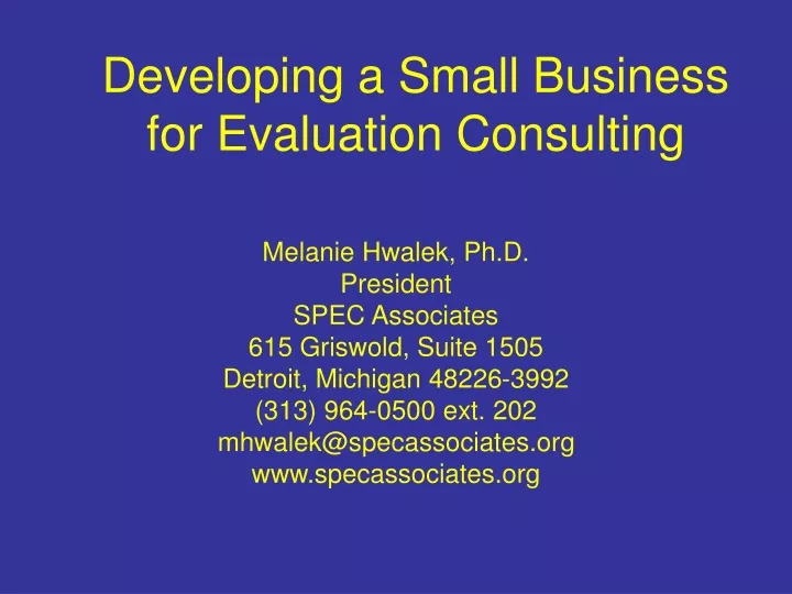 developing a small business for evaluation consulting