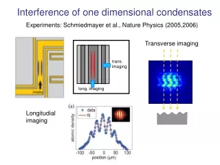 Interference of one dimensional condensates