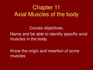Chapter 11 Axial Muscles of the body