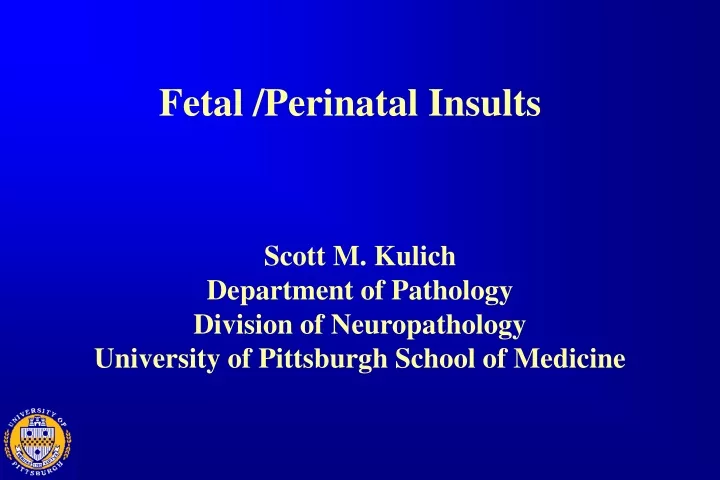 fetal perinatal insults
