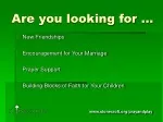 Are you looking for … - slide 1