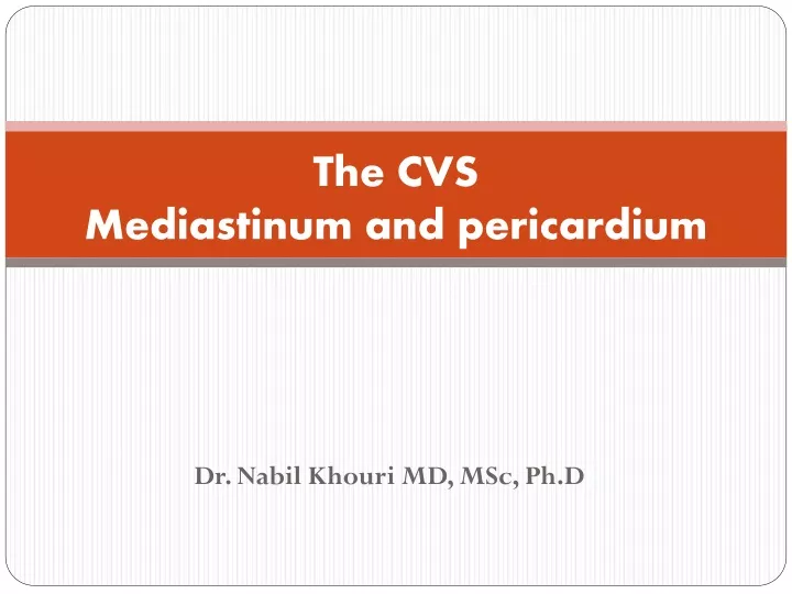 the cvs mediastinum and pericardium