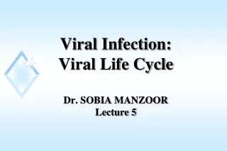 Viral Infection:  Viral Life Cycle Dr. SOBIA  MANZOOR Lecture 5