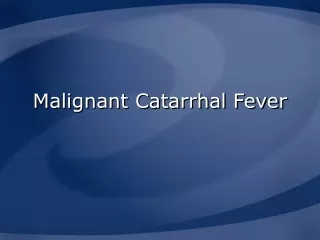 Malignant Catarrhal Fever