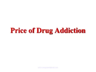 Price of Drug Addiction