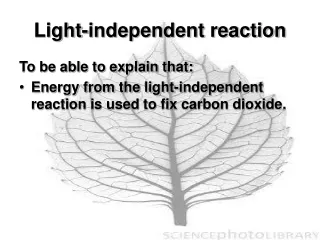 Light-independent reaction