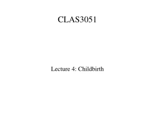 CLAS3051