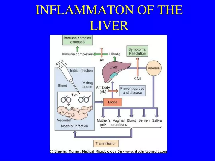 inflammaton of the liver