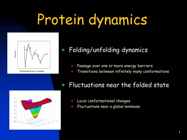 protein dynamics