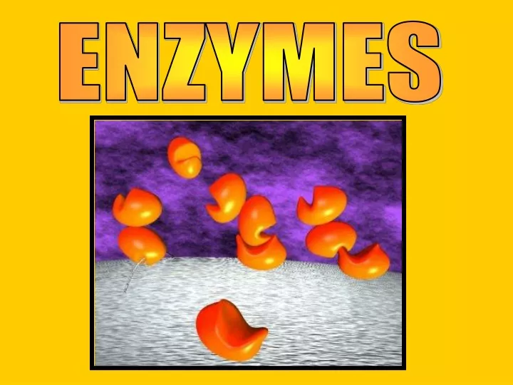 enzymes