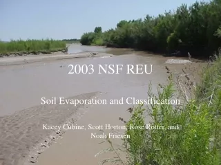 2003 NSF REU