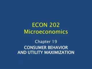 ECON 202 Microeconomics