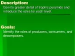 Trophic Pyramids and Organism Roles - slide 1