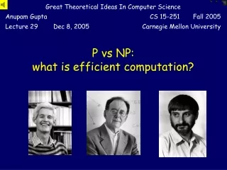 P vs NP: what is efficient computation?