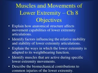 Muscles and Movements of Lower Extremity – Ch 8  Objectives
